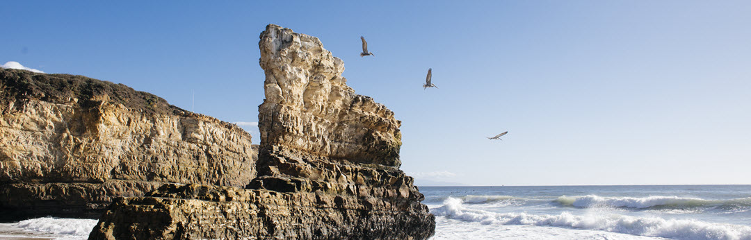 View of coastal rocks with birds